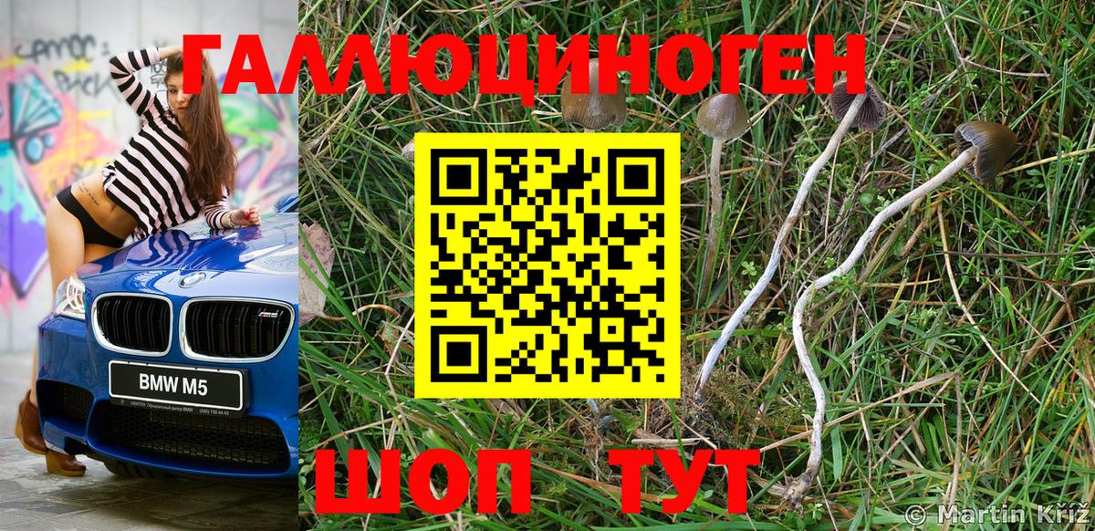 Кемерово  Галлюциногенные грибы мухоморы  Вход с VPN  Псилоцибиновые грибы Psilocybe 