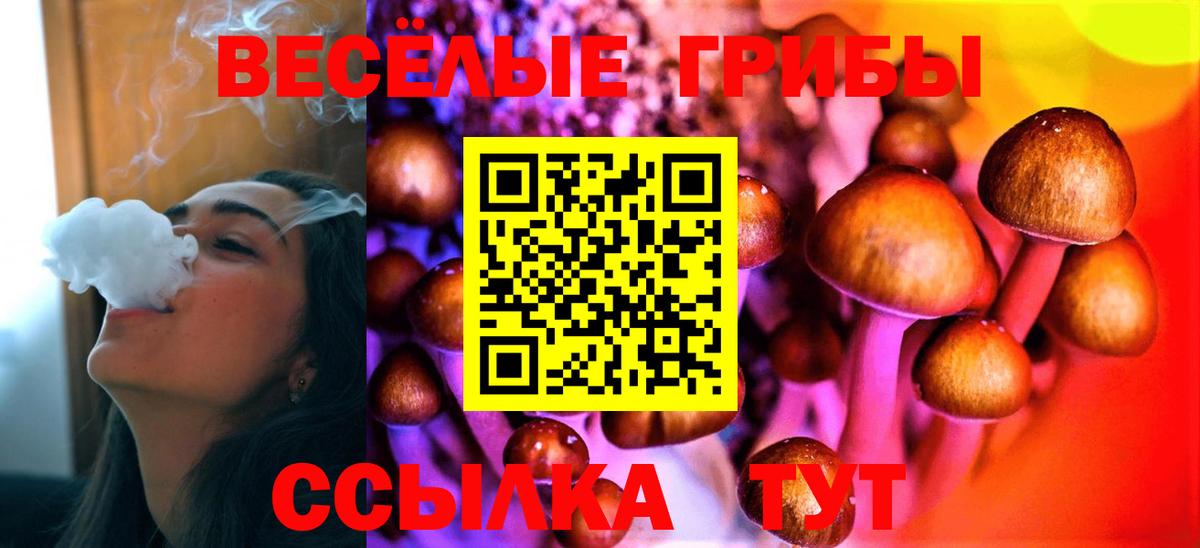 Галлюциногенные грибы Magic Shrooms Кемерово